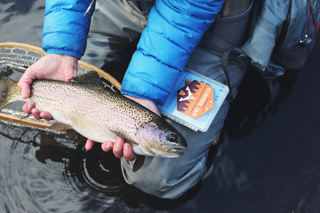 A lovely lady angler took our photographer down to the river in Eleven Mile Canyon, Lake George, CO to do a little fly fishing. This woman is a true badass! Within the first 10 mins of wading out in the water, @pixiek8 (as she is known on Instagram) caught this beauty of a trout. 

PS That’s one of our durable/waterproof custom stickers on her fly box.